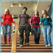 students at the university