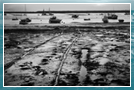 Mersea Island