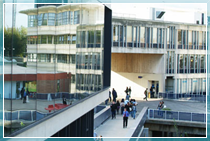 University of Essex