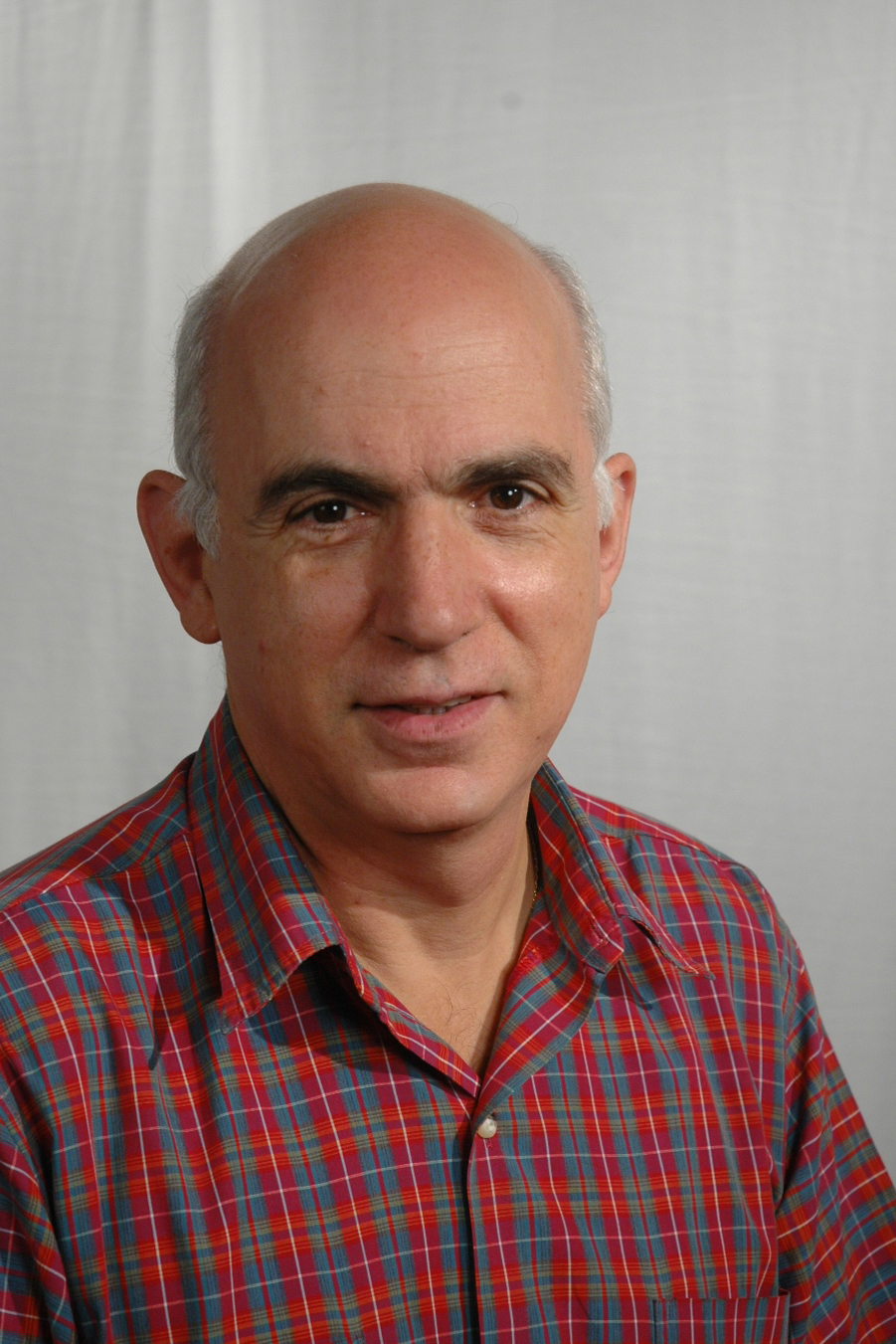 Professor Renos Papadopoulos