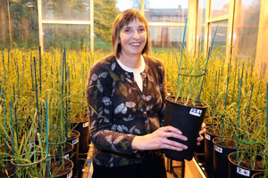 Professor Christine Raines