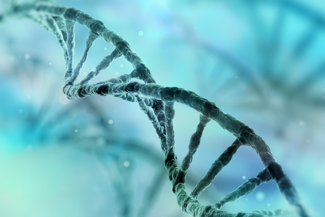 DNA