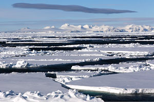 Frozen Arctic