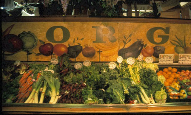 Jules Pretty organic veg